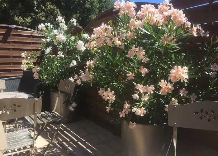 La Clef Des Songes - Au Calme, Au Coeur De Sarlat, 2 Minutes A Pied De La Cite Medievale - Climatisation - Petits Dejeuners Fait Maison - Parking Gratuit - Option Et Massages - Piscine De Saison A 400m Bed & Breakfast